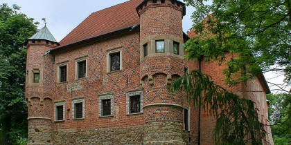 Zamek w Dębnie